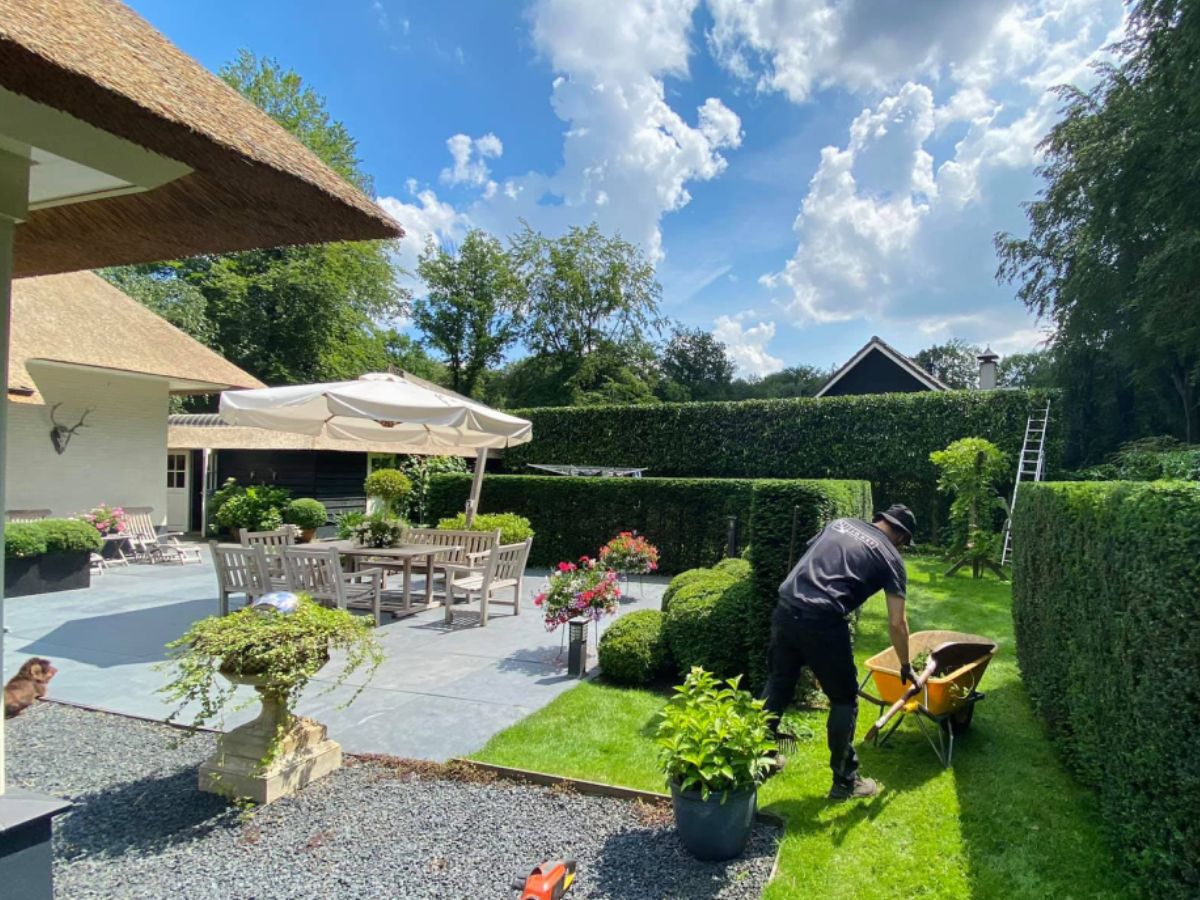 Hovenier onderhoudt een verzorgde tuin met terras en strakke hagen.